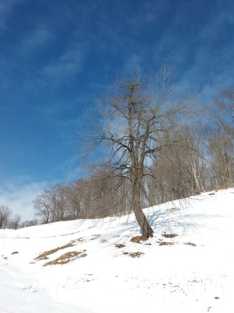  - Satul Hotaru Satul bunicilor