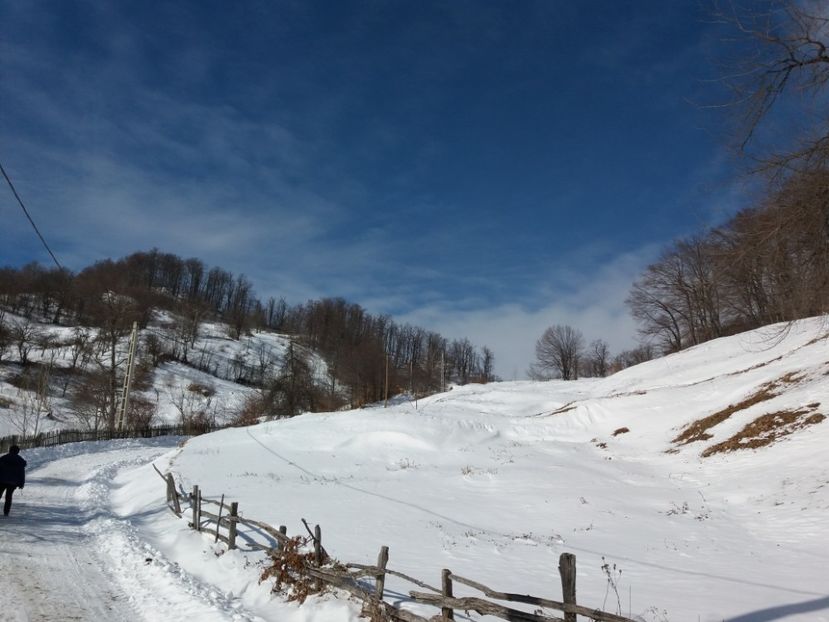  - Satul Hotaru Satul bunicilor