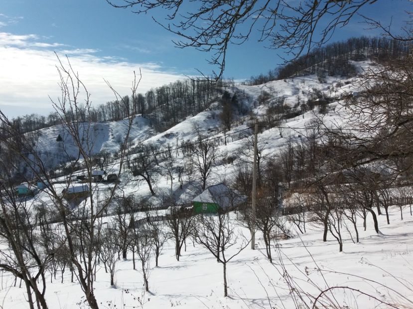  - Satul Hotaru Satul bunicilor