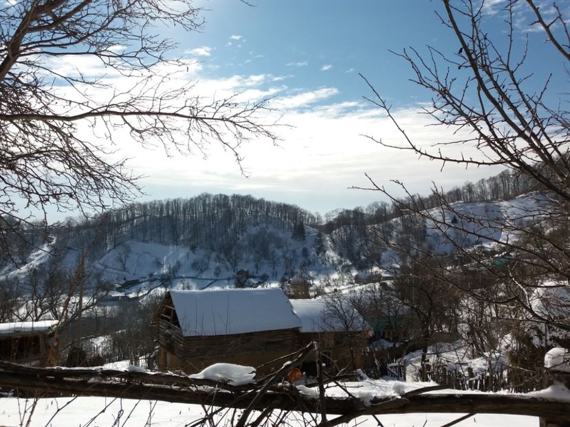  - Satul Hotaru Satul bunicilor