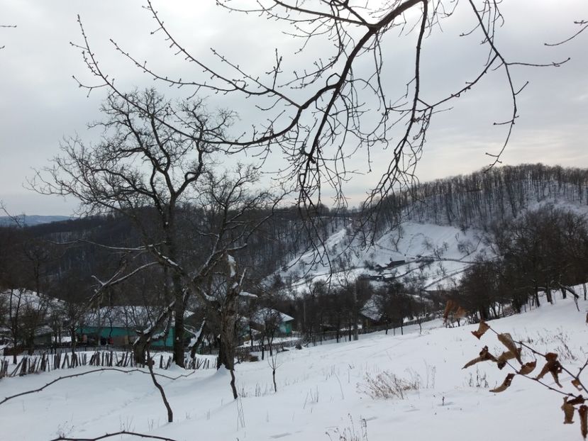  - Satul Hotaru Satul bunicilor