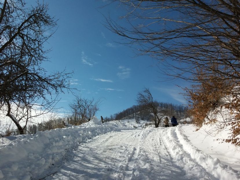  - Satul Hotaru Satul bunicilor