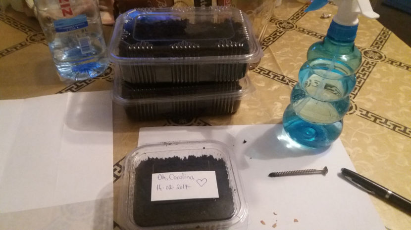  - Legume din Gradina 2017-2018