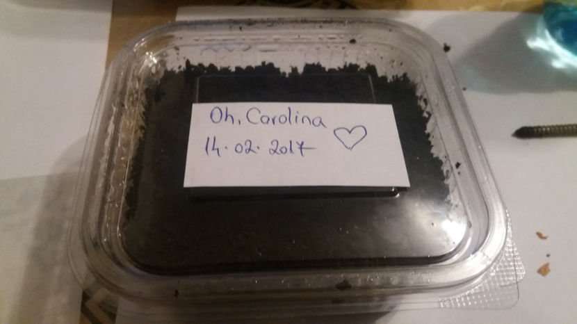  - Legume din Gradina 2017-2018