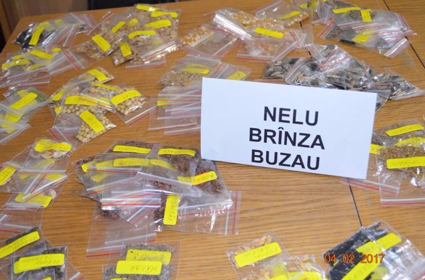  - Piata Seminte cu Suflet Ploiesti 2017