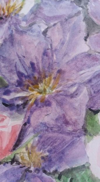  - Trandafiri si alte flori in acuarela