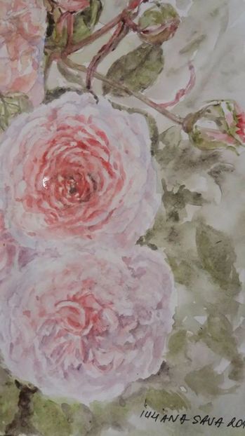  - Trandafiri si alte flori in acuarela