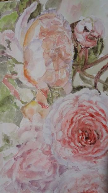  - Trandafiri si alte flori in acuarela