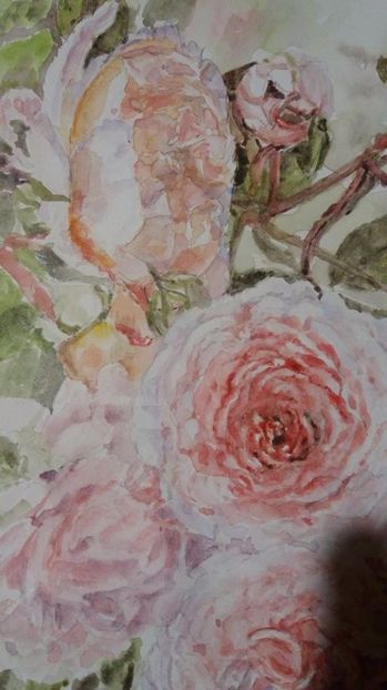  - Trandafiri si alte flori in acuarela