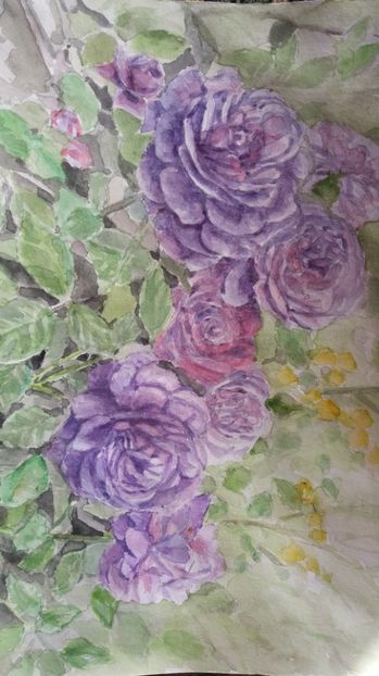 1487163978566-2094317409 - Trandafiri si alte flori in acuarela