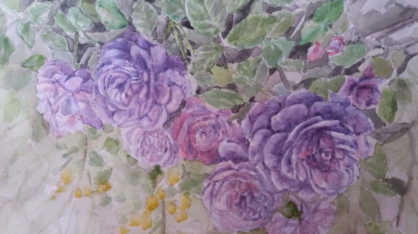  - Trandafiri si alte flori in acuarela