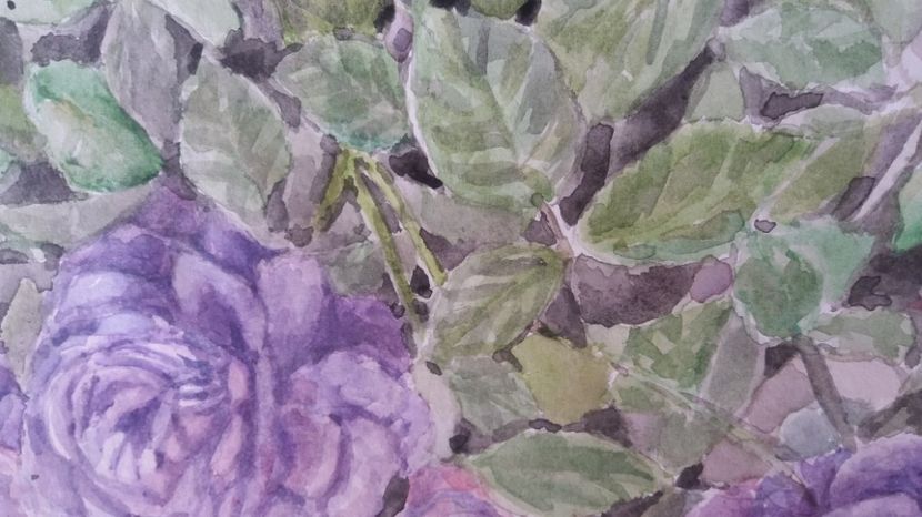  - Trandafiri si alte flori in acuarela