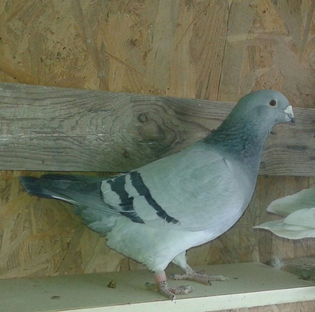 20170212_094041-1 - Contact