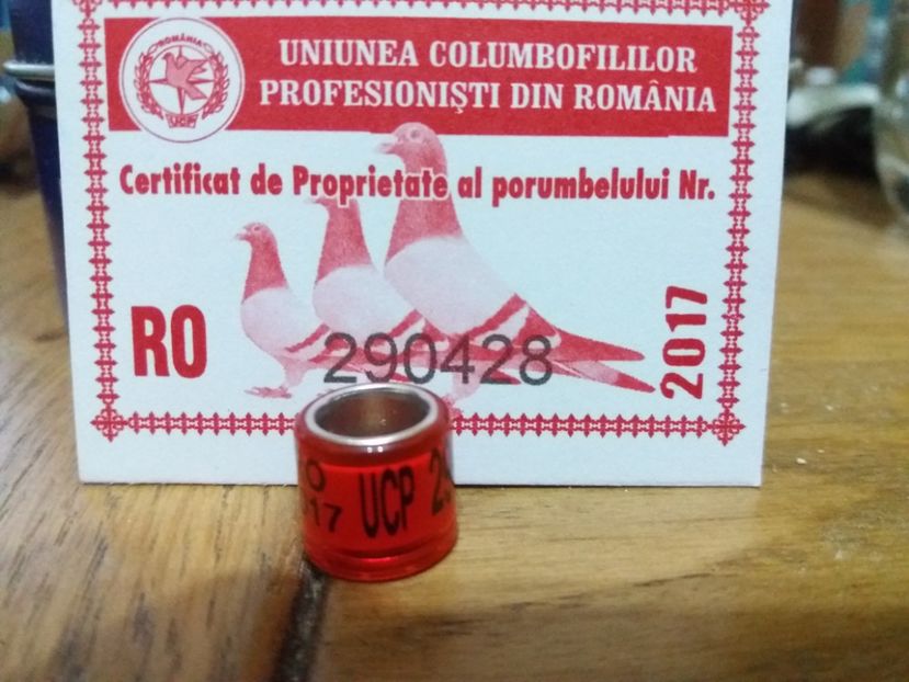 RO 20017  UCP - COLECTIE  DE INELE   ROMANIA