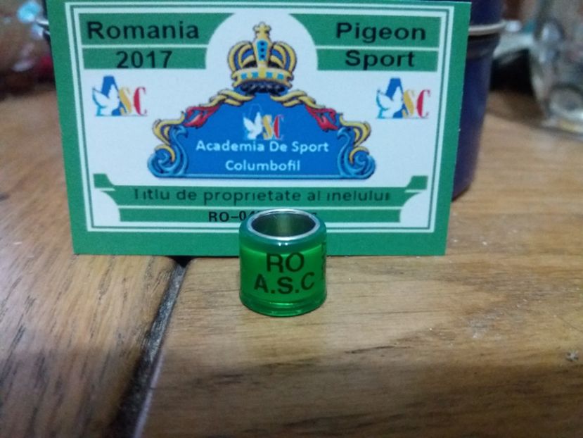RO  2017  A.S.C - COLECTIE  DE INELE   ROMANIA