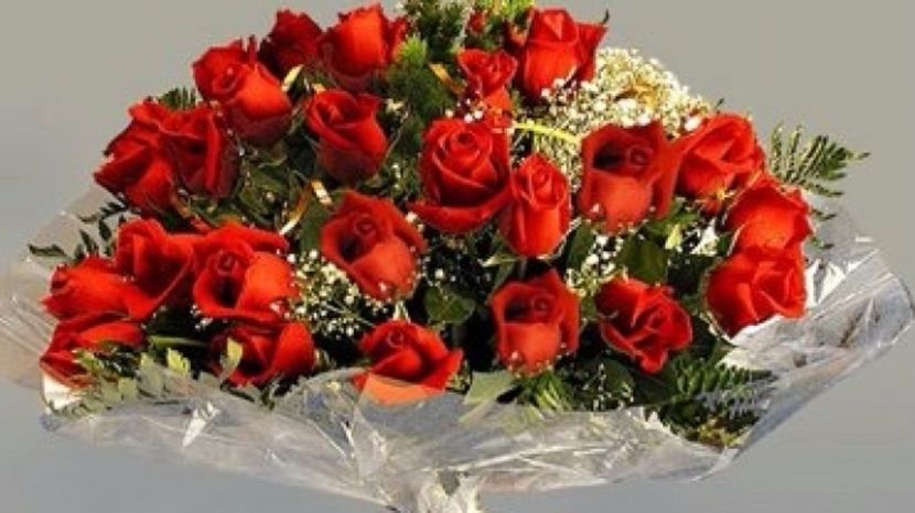 Per.36. - VOIAJORI STIL VECHI SI ORNAMENT- PERECHI MATCA 2017-2018