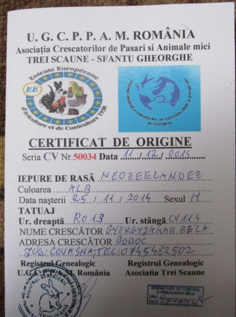 Rotation of certificat de origine 001 - 000 Vand mascul Neozeelandez Alb