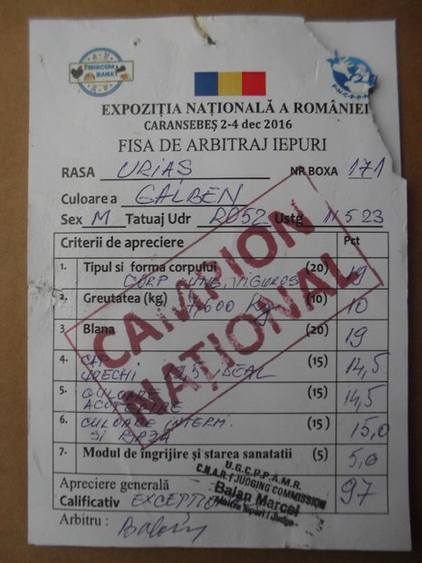 108271501_IUNYJCP - U galben cuib nr2 17 ianurie 2017