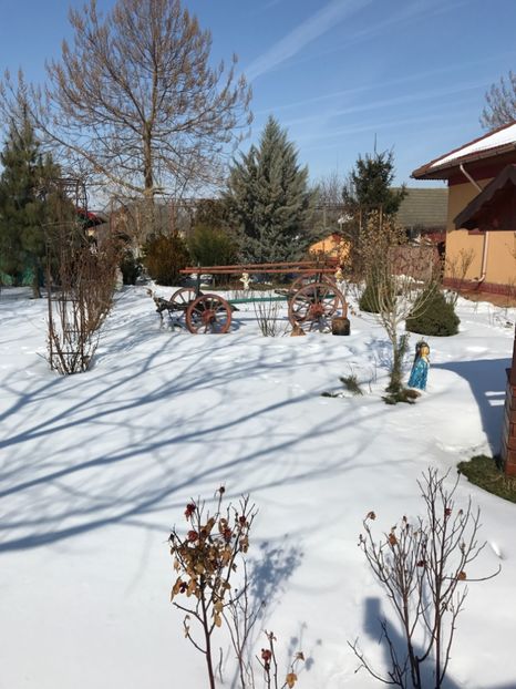  - GRADINA NOASTRA
