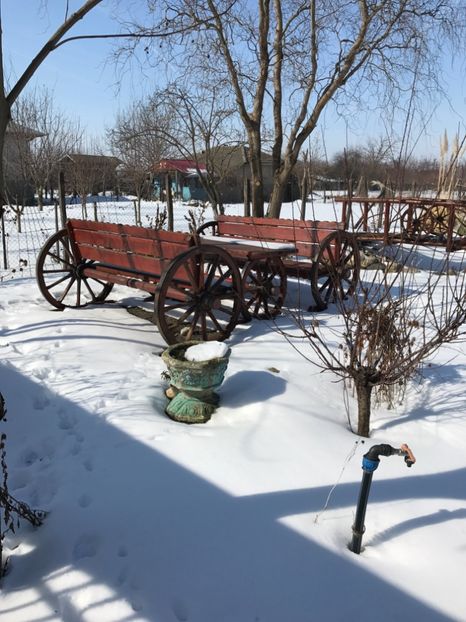  - GRADINA NOASTRA