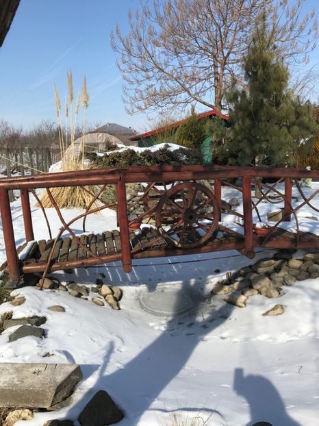  - GRADINA NOASTRA