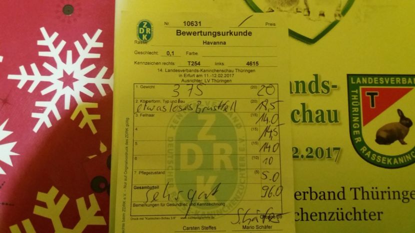 fisa arbitraj Erfurt 02.2017 - feme 1