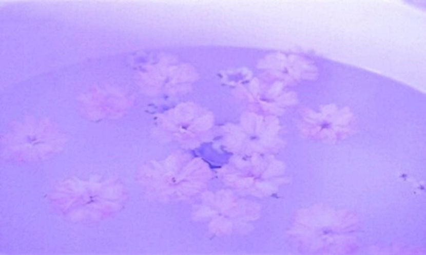 DΛY 95 - 17 FΣBЯЦΛЯY 2017 - raise boys and girls the same way z