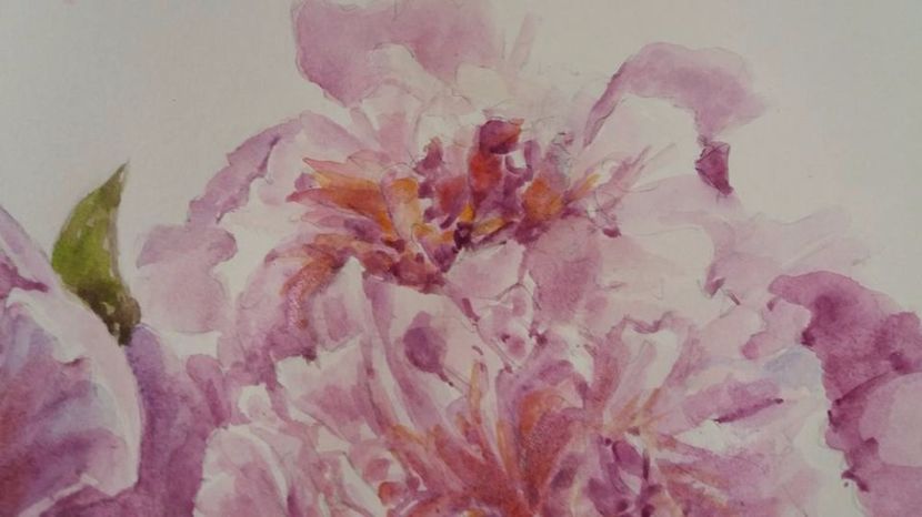  - Trandafiri si alte flori in acuarela