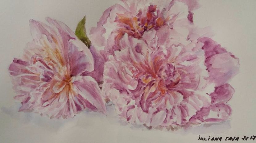  - Trandafiri si alte flori in acuarela