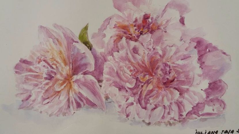  - Trandafiri si alte flori in acuarela