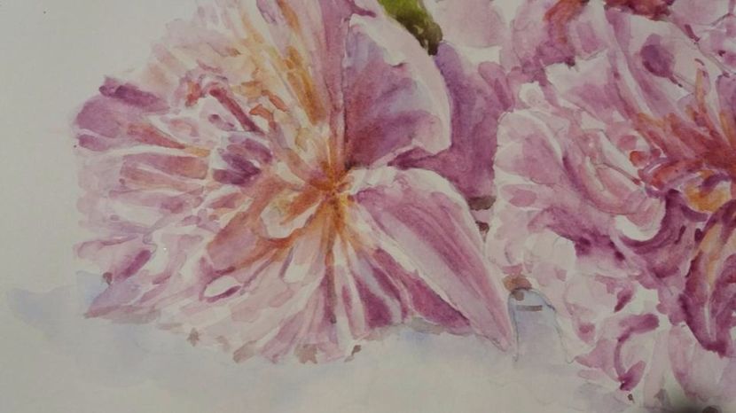  - Trandafiri si alte flori in acuarela