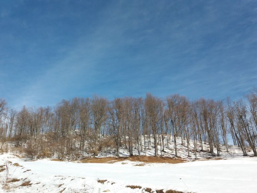  - Satul Hotaru Satul bunicilor