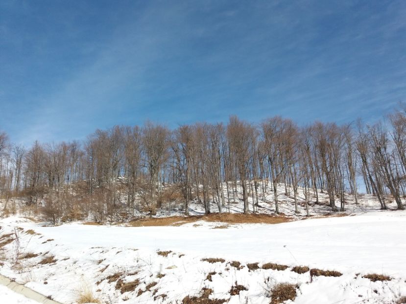  - Satul Hotaru Satul bunicilor