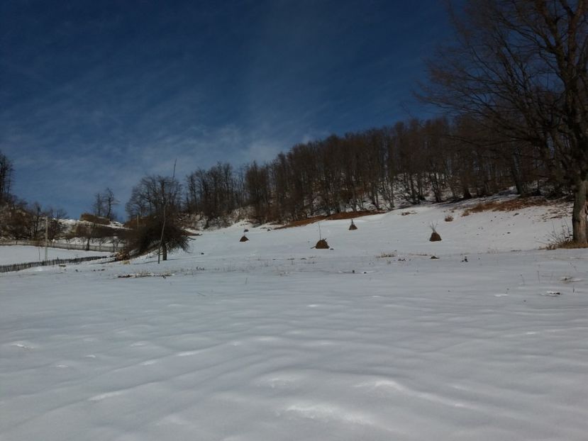  - Satul Hotaru Satul bunicilor