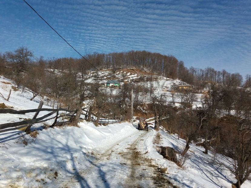  - Satul Hotaru Satul bunicilor