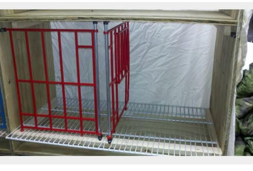 Fete-boxa-plastic-3 - FETE BOXA PLASTIC - 16 lei