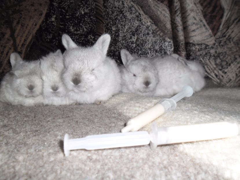 SAM_2022 - 2 CONTACT