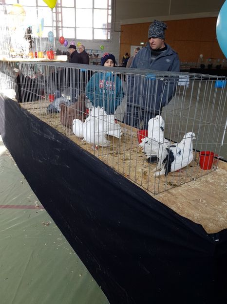  - Expozitie Breaza 17-19 februarie 2017