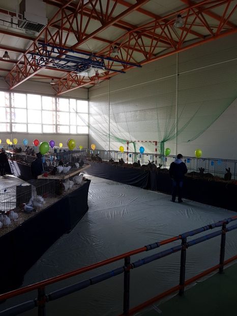  - Expozitie Breaza 17-19 februarie 2017