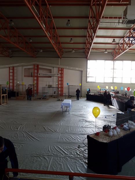  - Expozitie Breaza 17-19 februarie 2017