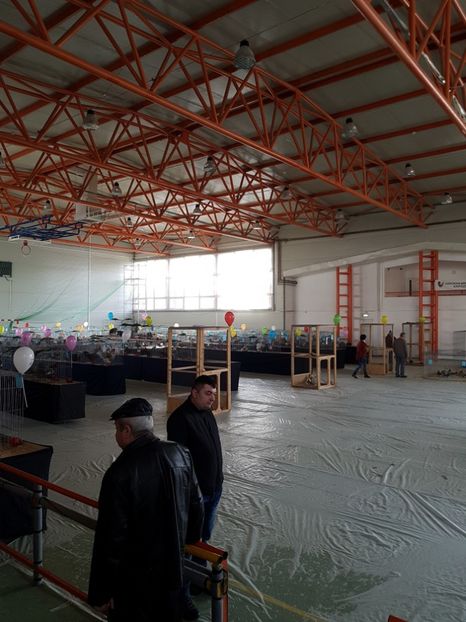  - Expozitie Breaza 17-19 februarie 2017