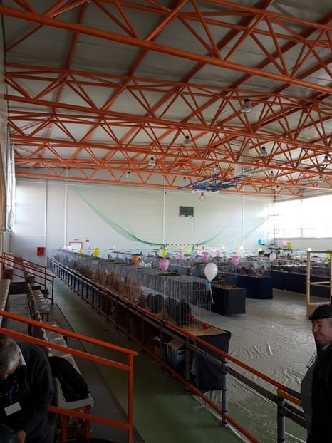  - Expozitie Breaza 17-19 februarie 2017