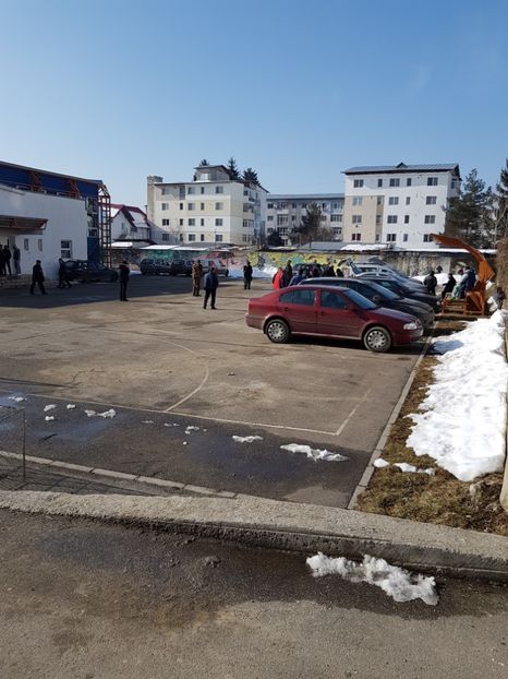  - Expozitie Breaza 17-19 februarie 2017