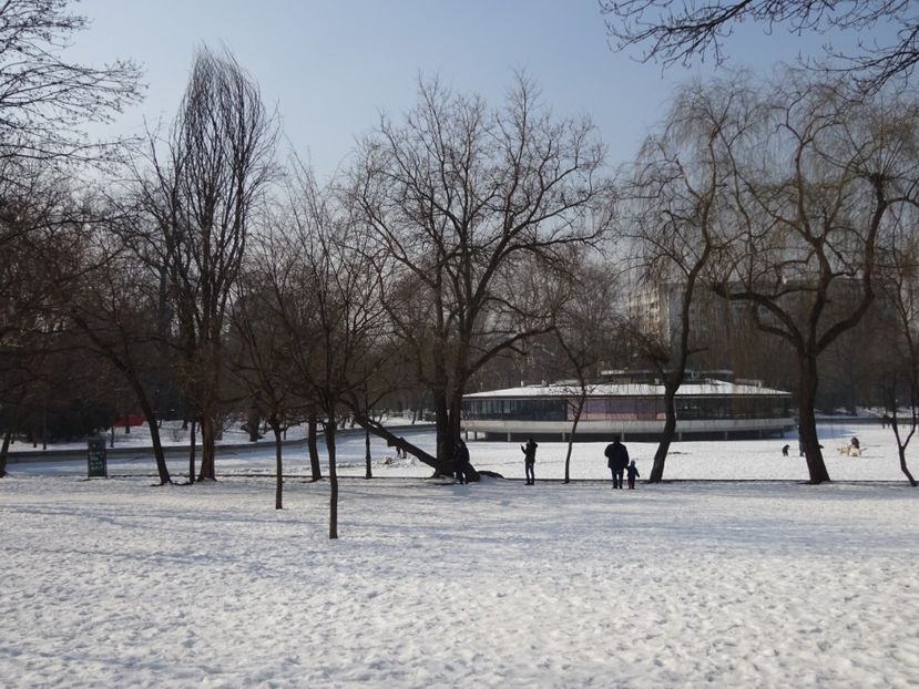  - 0 Cismigiu feb 2017