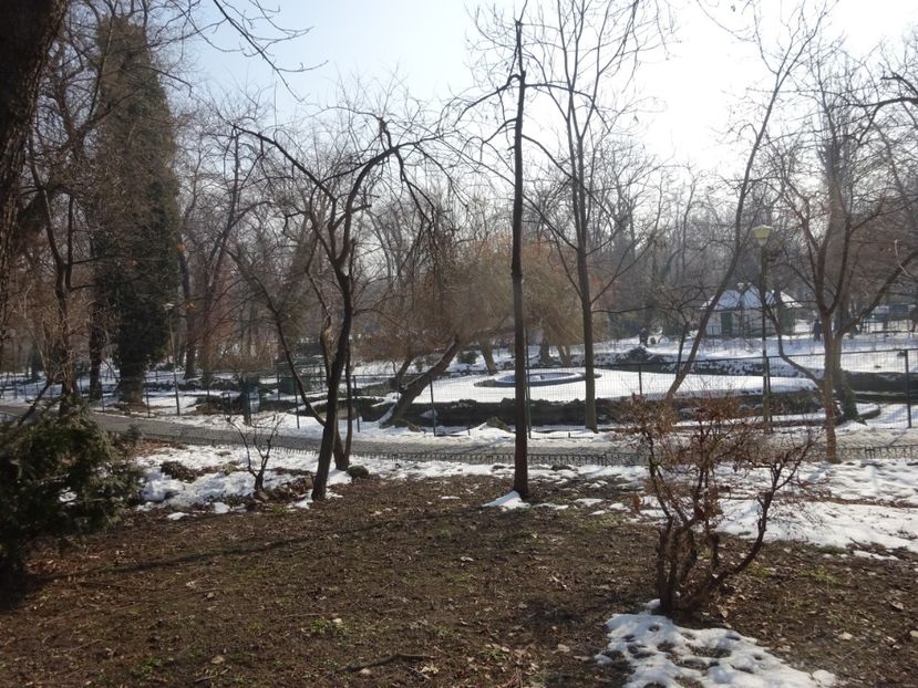  - 0 Cismigiu feb 2017