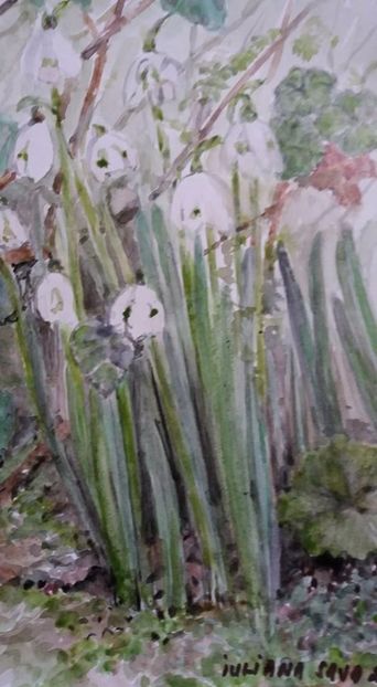  - Trandafiri si alte flori in acuarela