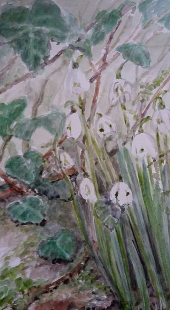  - Trandafiri si alte flori in acuarela