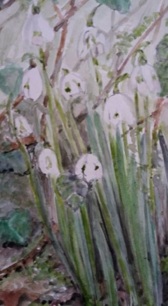  - Trandafiri si alte flori in acuarela