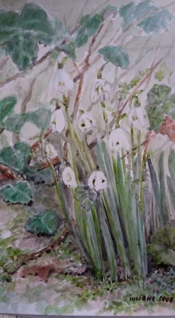  - Trandafiri si alte flori in acuarela