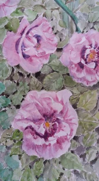  - Trandafiri si alte flori in acuarela